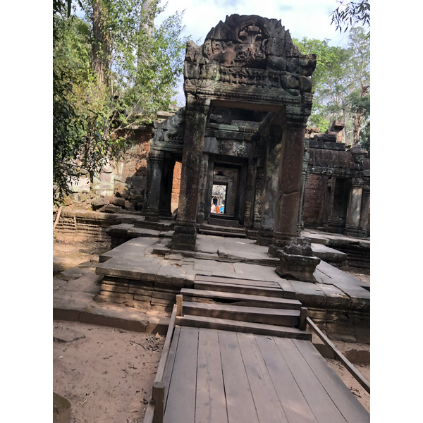 Photo Cambodge Siem Reap Ta Prohm 2023-01 70
