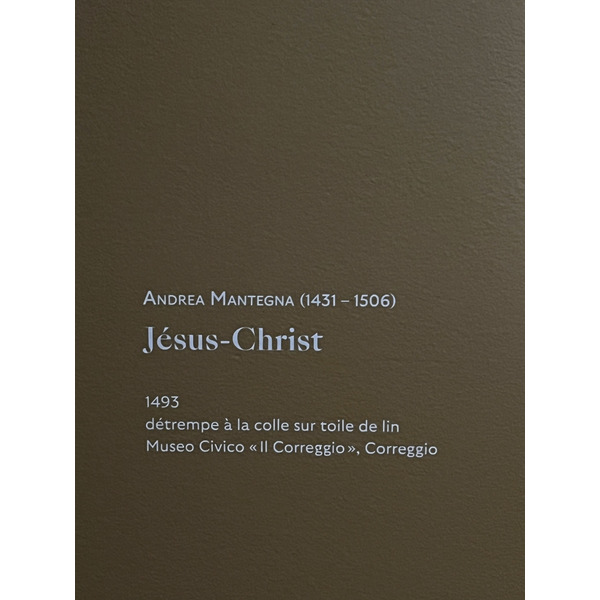 Photo France Paris Musée Jacquemart André 2023-04 153