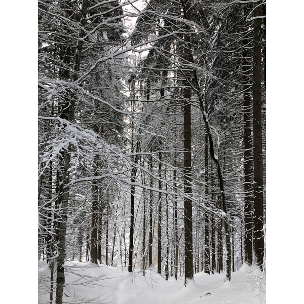 Photo France La Clusaz 2017-12 249