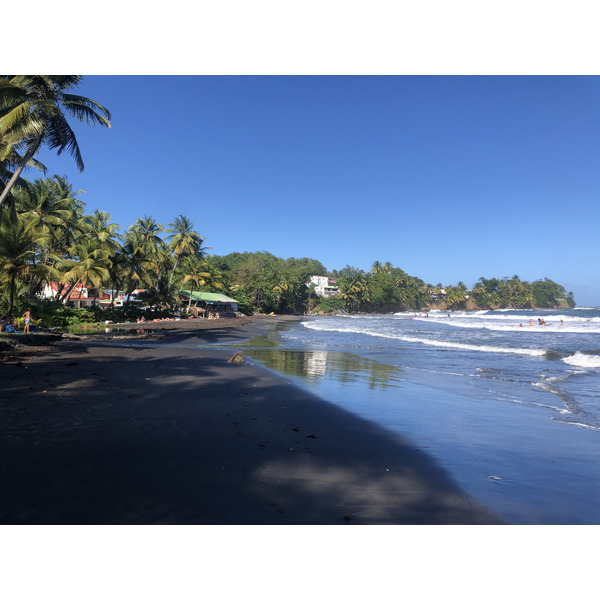 Photo Guadeloupe Bananier 2021-02 12