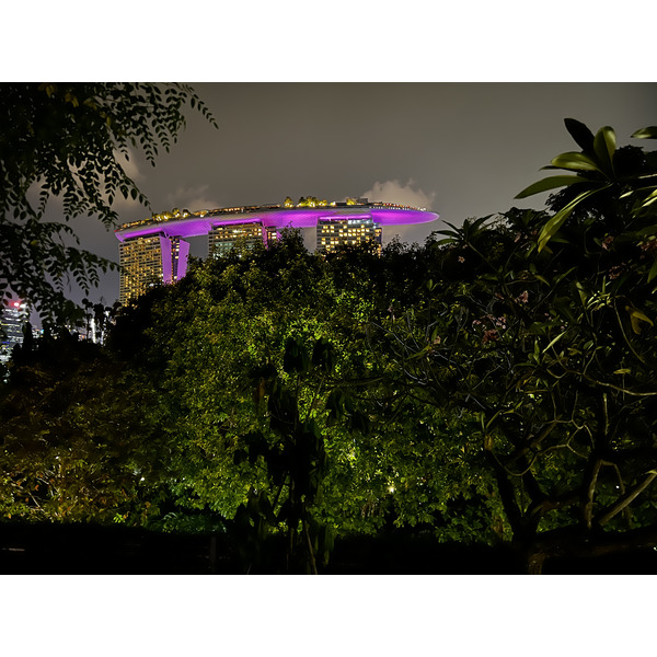 Photo Singapour Garden by the bay 2023-01 5