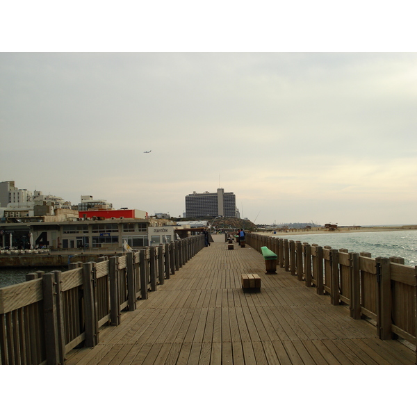 Photo Israel Tel Aviv Tel Aviv bord de mer 2006-12 217