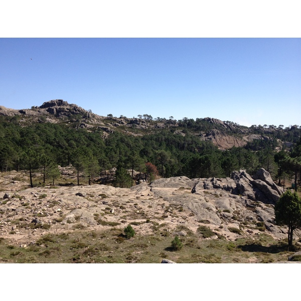 Photo France Corse Forêt de l'Ospedale 2012-09 70