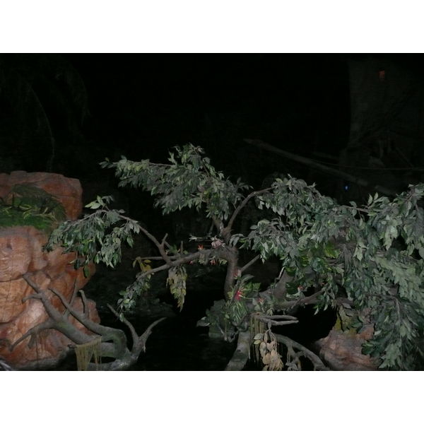 Photo France Disneyland Paris Pirates des Caraïbes 2007-07 49