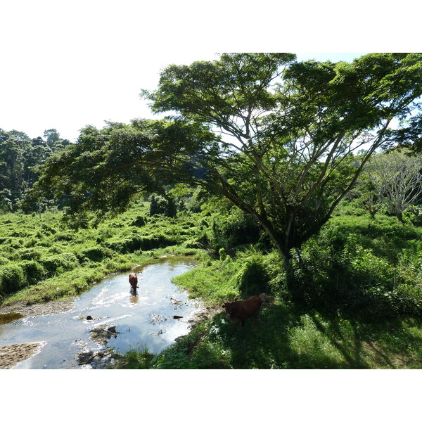 Photo Îles Fidji Rivière Sigatoka 2010-05 93
