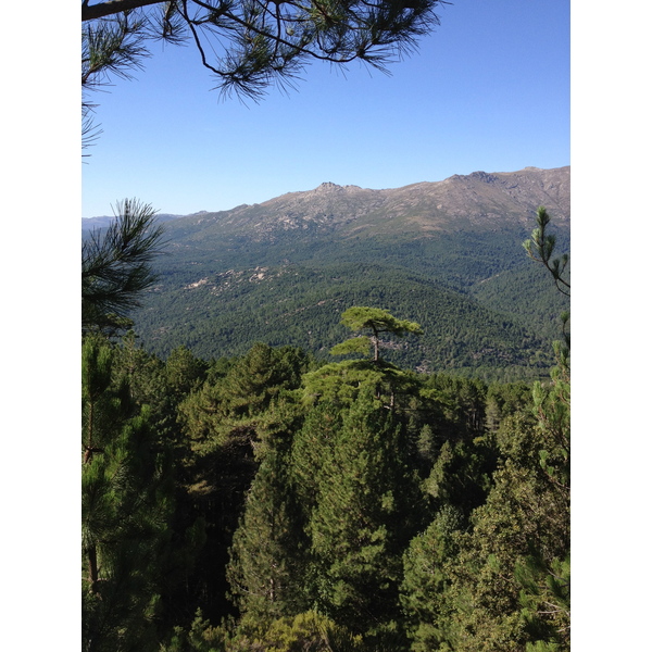 Photo France Corse Bavella 2012-09 6