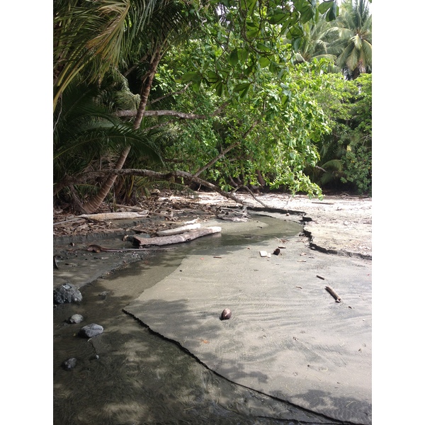 Photo Costa Rica Montezuma 2015-03 336