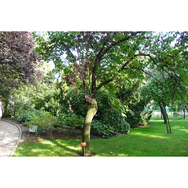 Photo France Paris Jardin des Plantes 2007-08 116