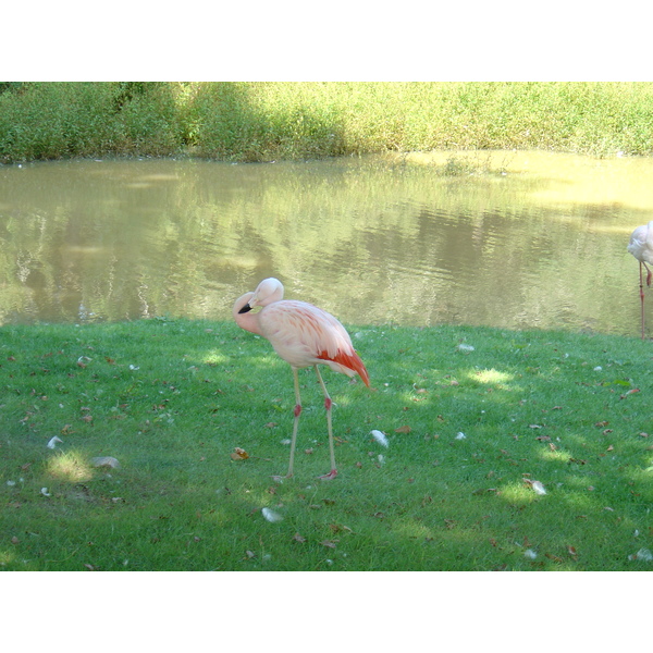 Photo France Branféré 2004-08 10