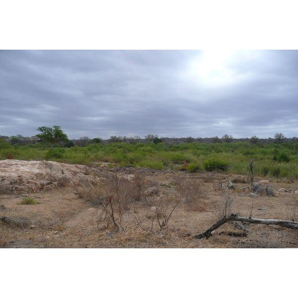 Photo Afrique du Sud Parc National Kruger Rivière Sable 2008-09 70