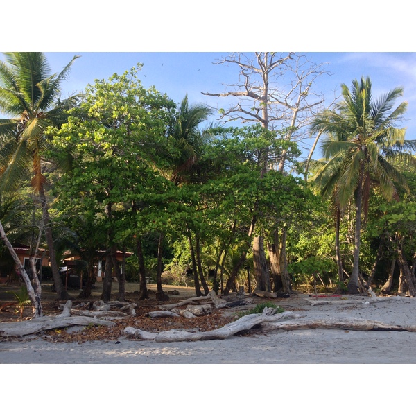 Photo Costa Rica Montezuma 2015-03 384