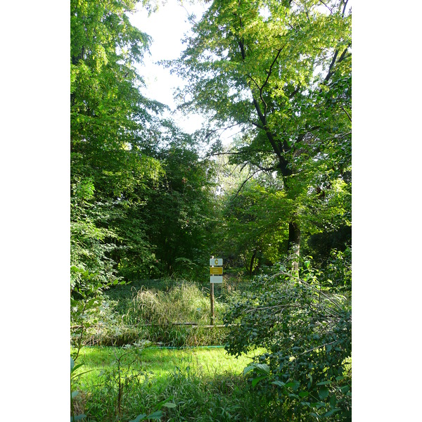 Photo France Paris Jardin des Plantes 2007-08 130