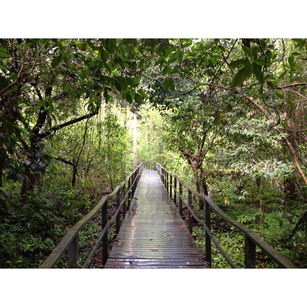 Photo Costa Rica Cahuita 2015-03 247