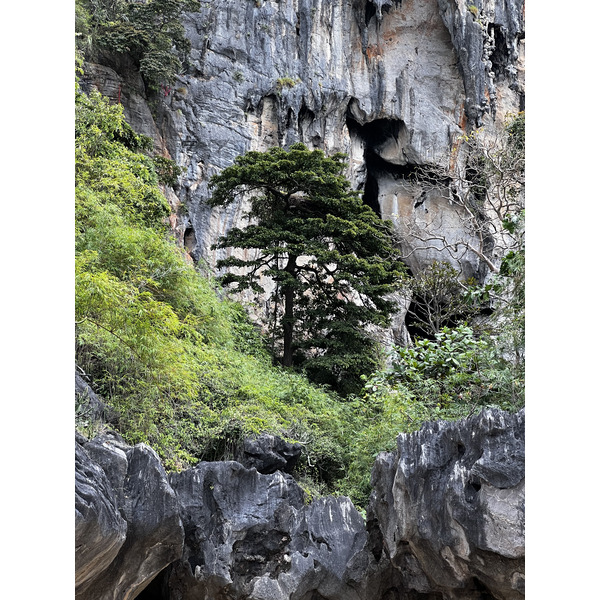 Photo Thaïlande Krabi 2023-01 292