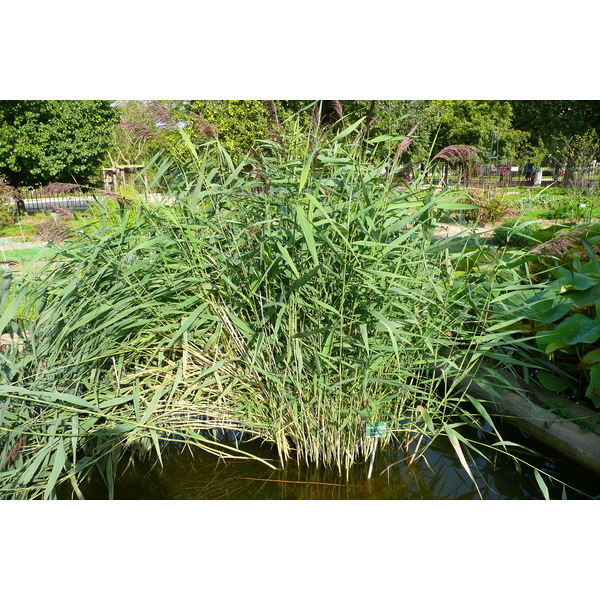 Photo France Paris Jardin des Plantes 2007-08 151