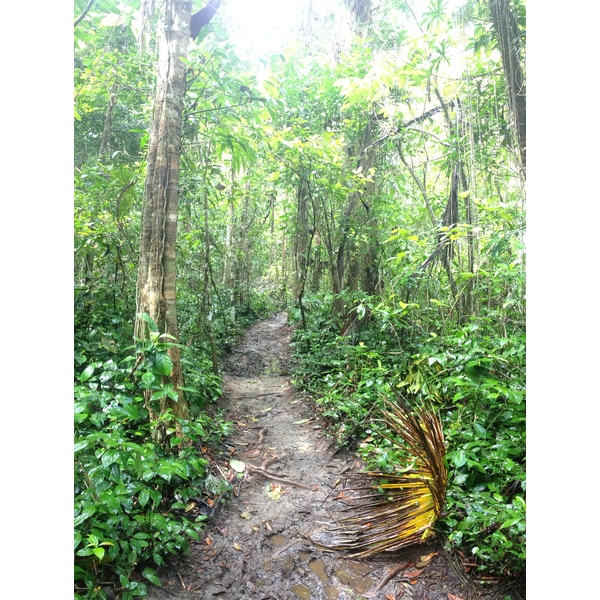 Photo Costa Rica Cahuita 2015-03 20