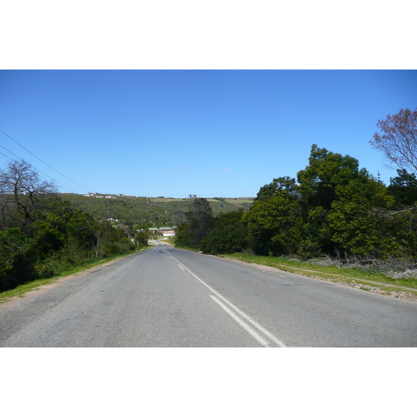 Photo Afrique du Sud route de Knysna à Port Elizabeth 2008-09 43