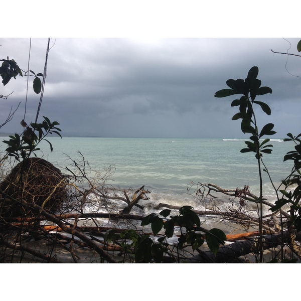 Photo Costa Rica Cahuita 2015-03 56