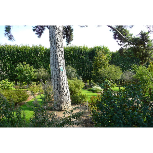 Photo France Paris Jardin des Plantes 2007-08 108