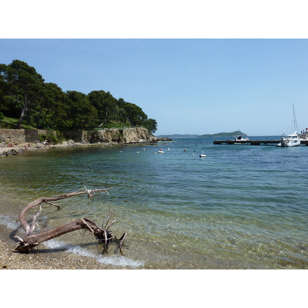 Photo France Presqu'île de Giens 2009-05 0