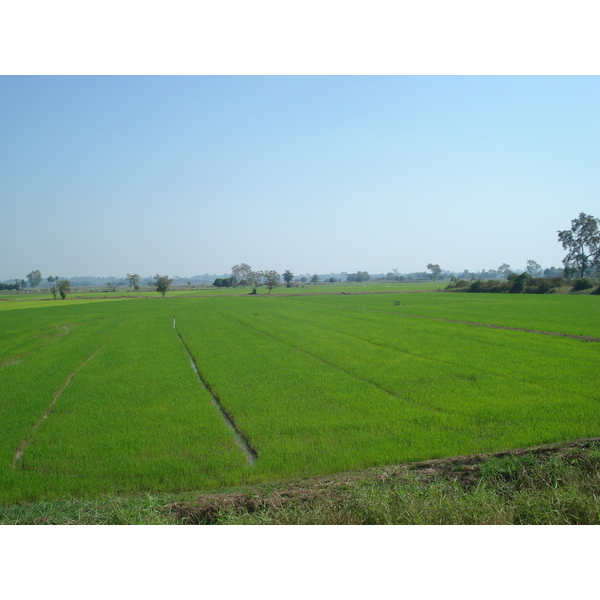 Photo Thaïlande Phitsanulok Rue Singhawat 2008-01 5