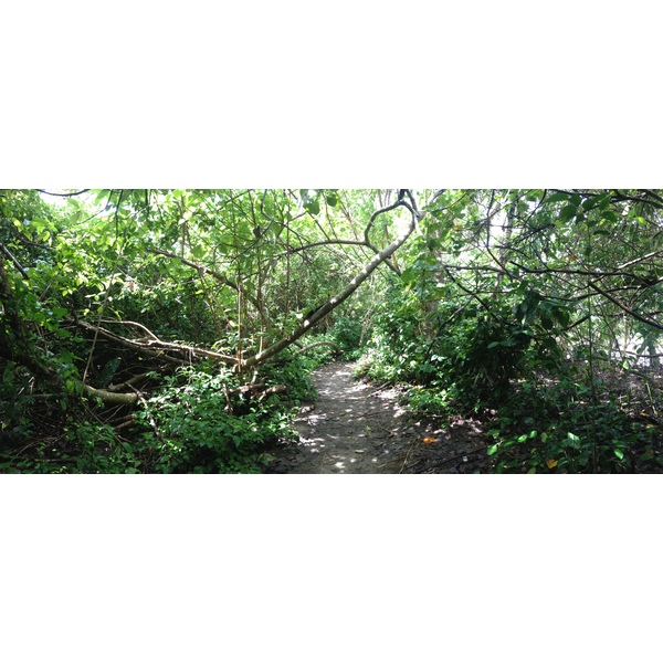 Photo Costa Rica Cahuita 2015-03 16