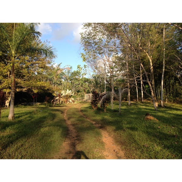 Photo Costa Rica Uvita 2015-03 62