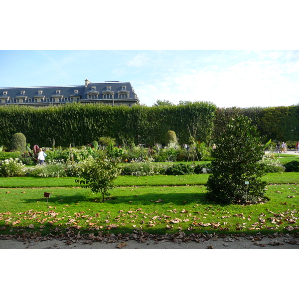 Photo France Paris Jardin des Plantes 2007-08 138