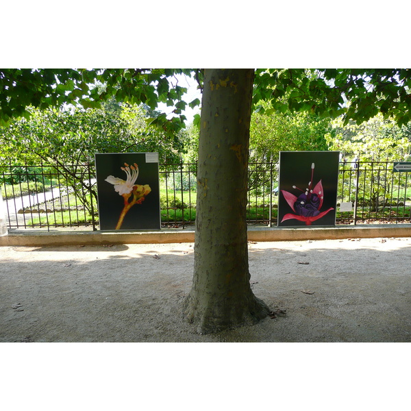 Photo France Paris Jardin des Plantes 2007-08 143