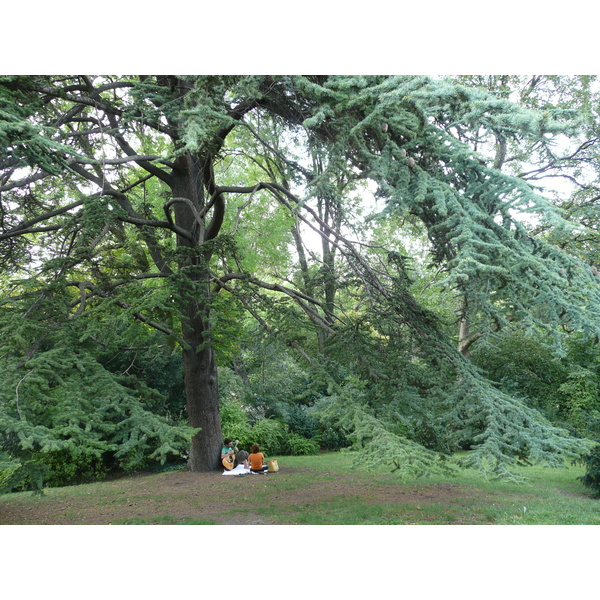 Photo France Paris Parc des Buttes-Chaumont 2007-08 166