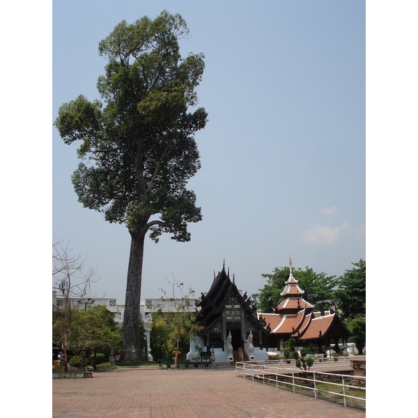 Photo Thaïlande Chiang Mai Centre(intra Canal) Temple Chediluang Varaviharn 2006-04 1