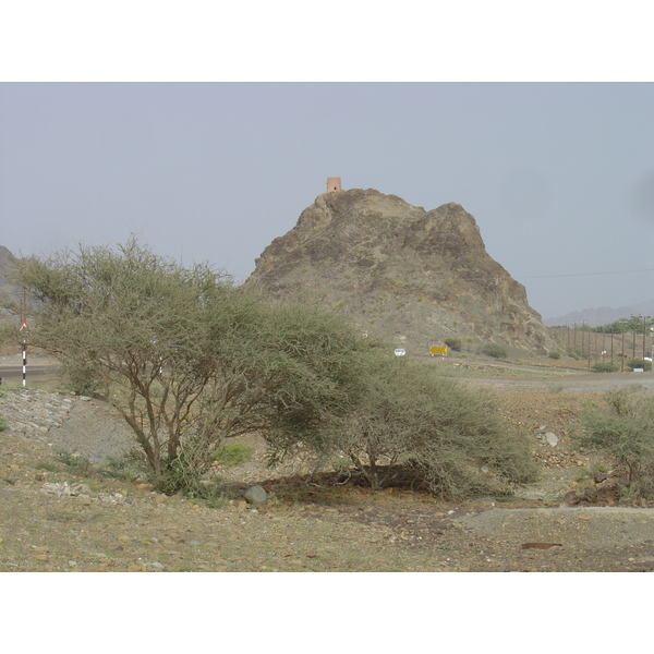 Photo Oman Route de Buraimi à Sohar 2005-03 15