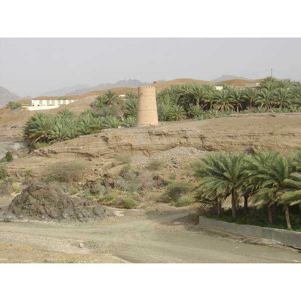Photo Oman Route de Buraimi à Sohar 2005-03 5