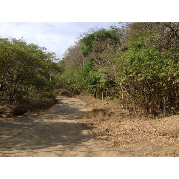 Photo Costa Rica Montezuma 2015-03 523