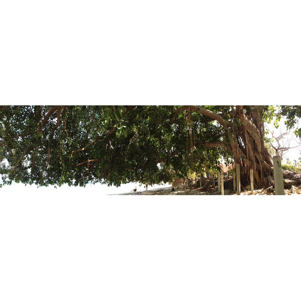 Photo Panama Ile de Contadora 2015-03 169