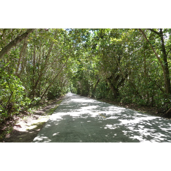 Photo Seychelles Praslin 2011-10 93