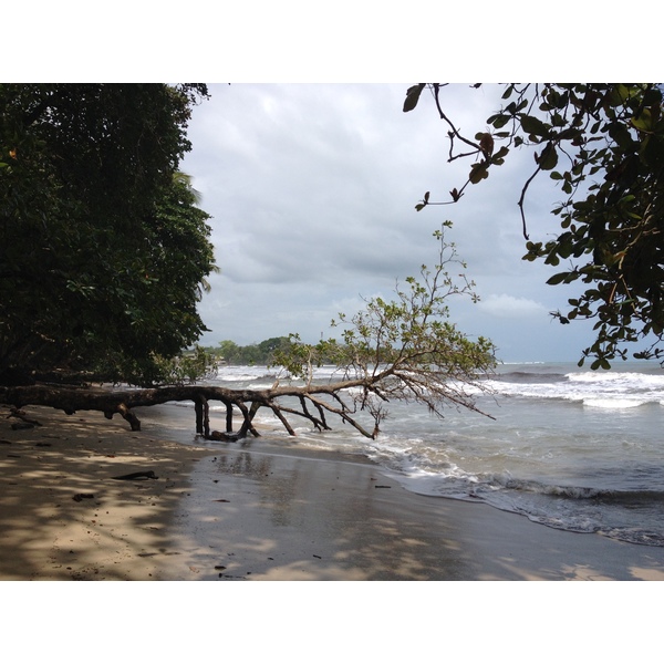 Photo Costa Rica Cahuita 2015-03 116