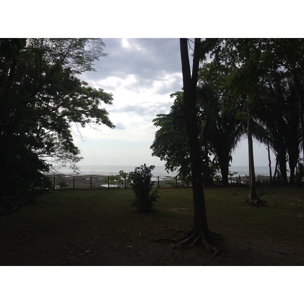 Photo Costa Rica Montezuma 2015-03 429