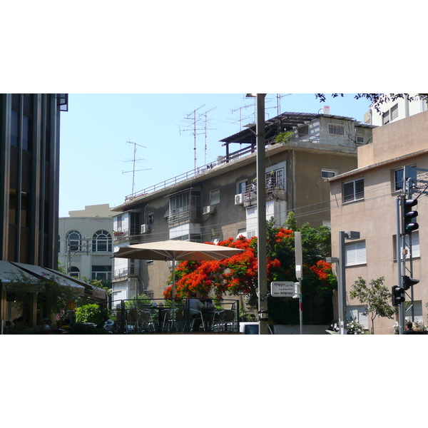 Photo Israel Tel Aviv Rue Rothschild 2007-06 14
