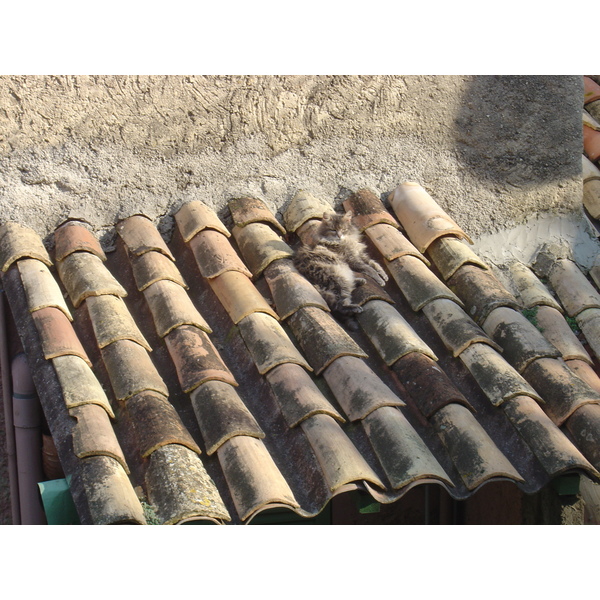 Photo France Les Hauts de Cagnes 2006-01 50