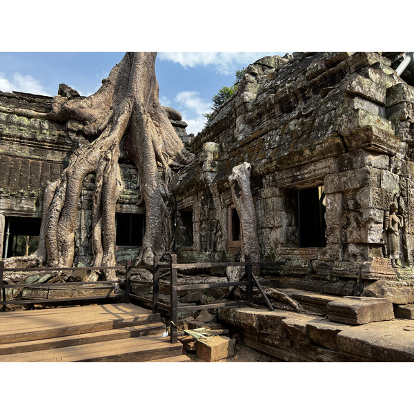 Photo Cambodge Siem Reap Ta Prohm 2023-01 72