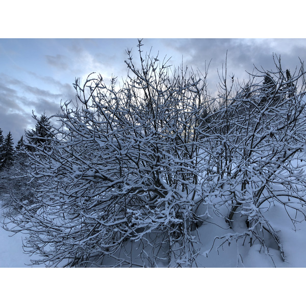 Photo France La Clusaz 2017-12 33