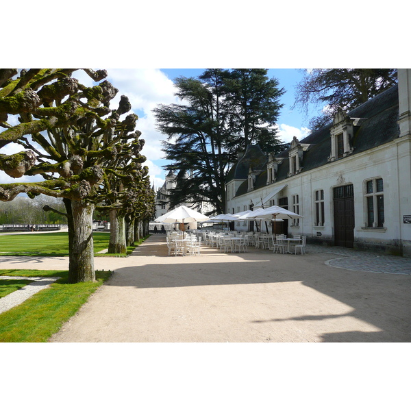 Photo France Château de Chenonceau Jardins de Chenonceau 2008-04 84