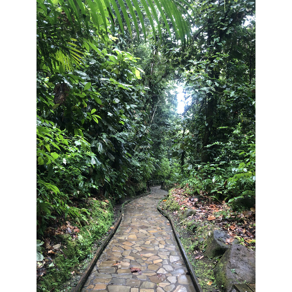 Photo Guadeloupe Cascade aux écrevisses 2021-02 19