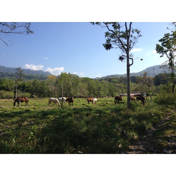 Photo Costa Rica Uvita 2015-03 13