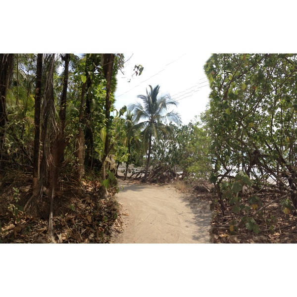 Photo Costa Rica Montezuma 2015-03 386