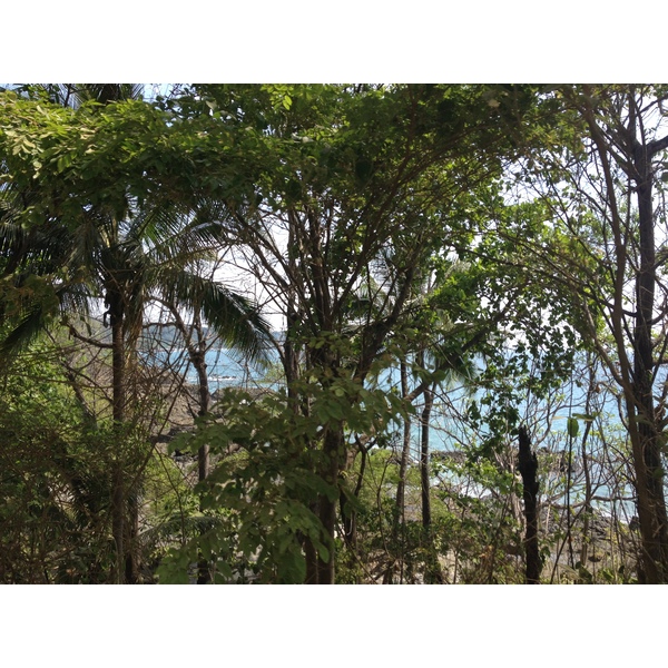 Photo Costa Rica Montezuma 2015-03 347