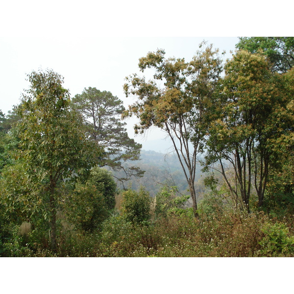 Photo Thaïlande Route de Chiang Mai à Pai 2007-02 46