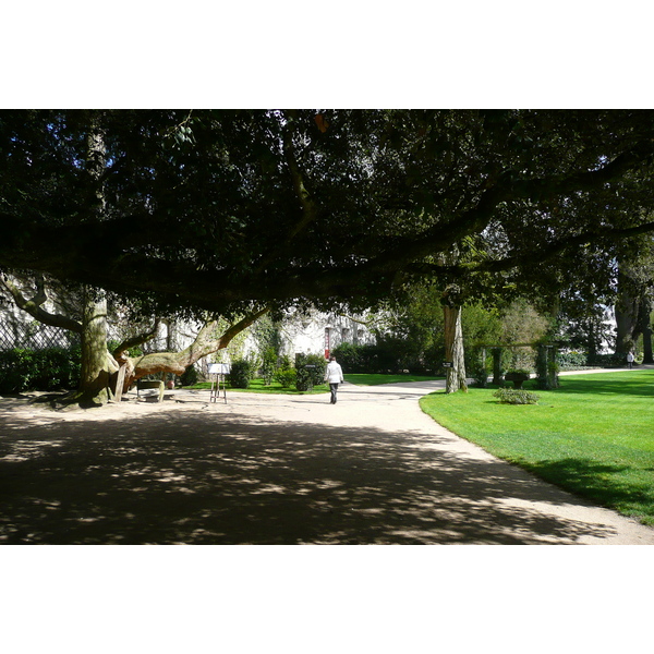 Photo France Château de Chenonceau Jardins de Chenonceau 2008-04 38