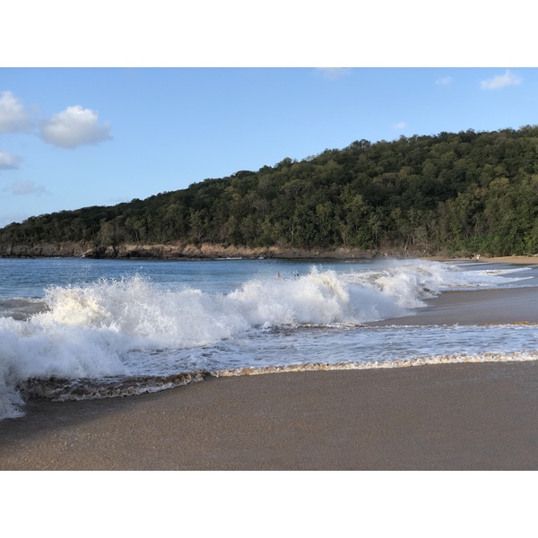 Photo Guadeloupe Plage de la Perle 2021-02 93